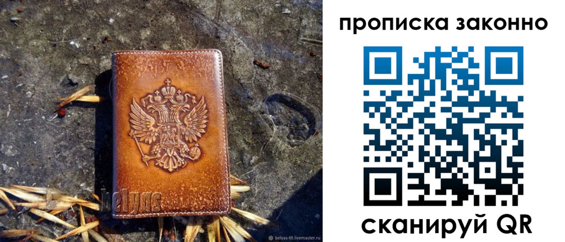 прописка паспорт в Химках